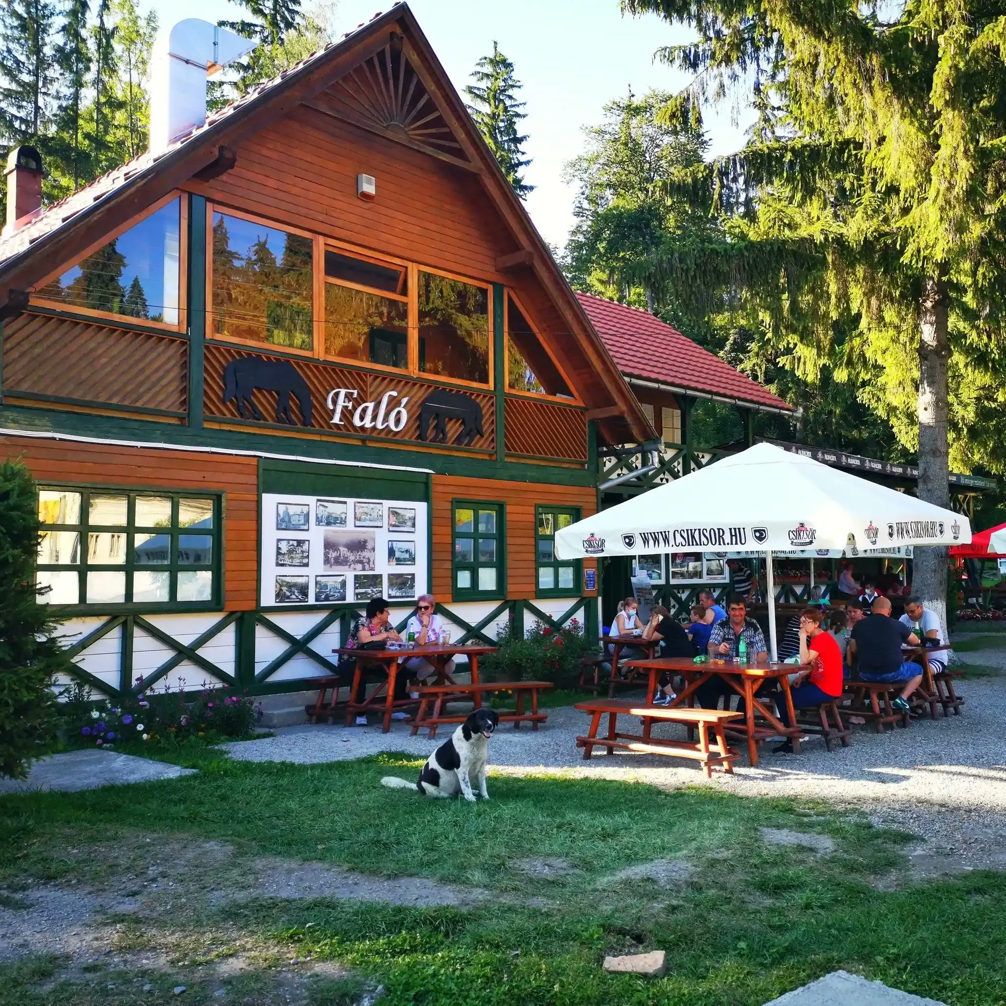Restaurant Faló