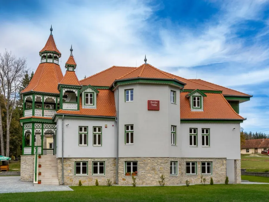Vila Borka, fațada lungă