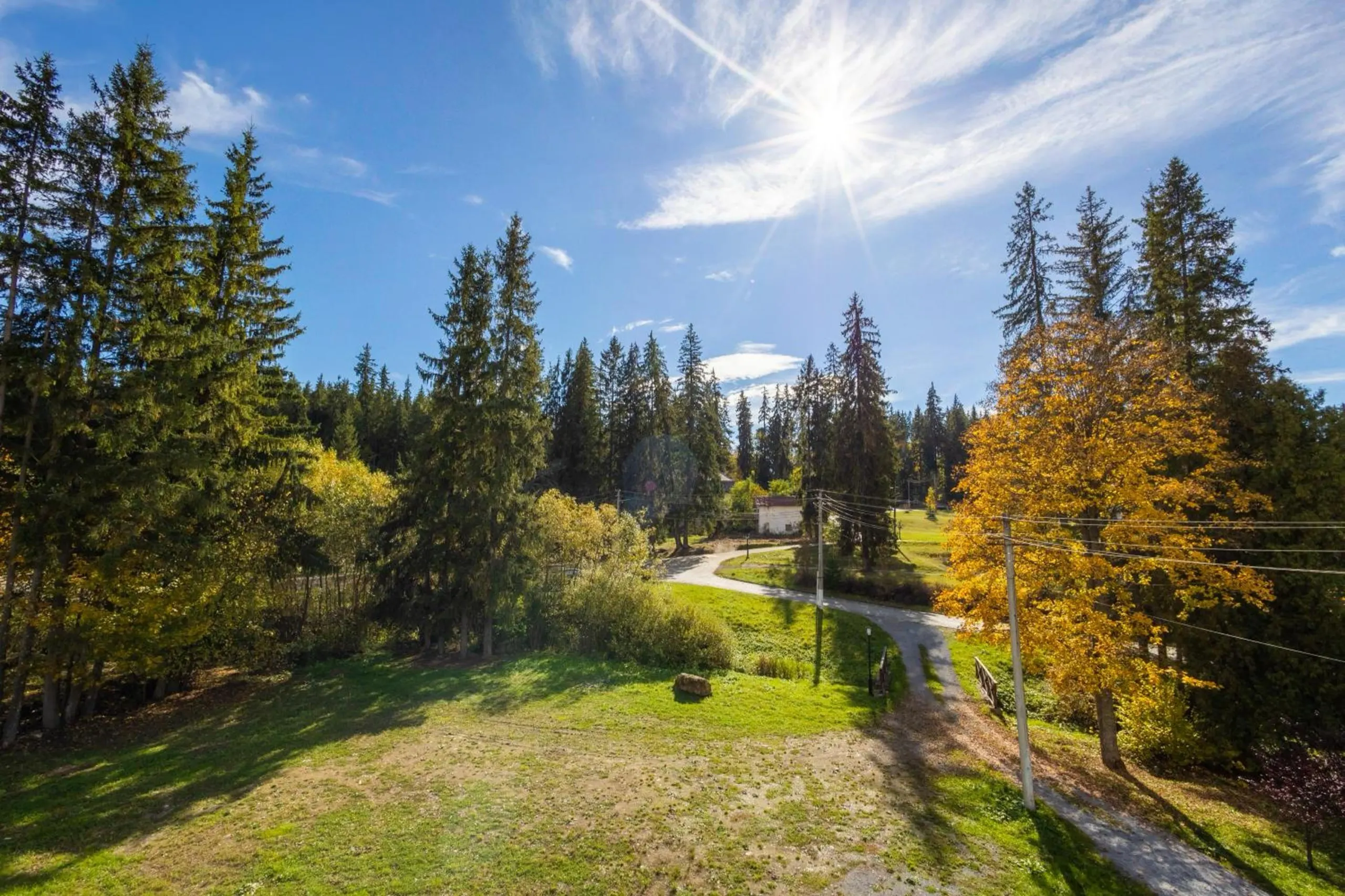 Parcul din fața Vilei Borka, toamna