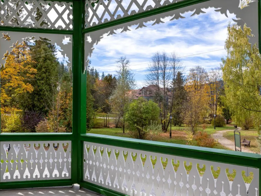 Veranda din lemn sculptat a Vilei Borka